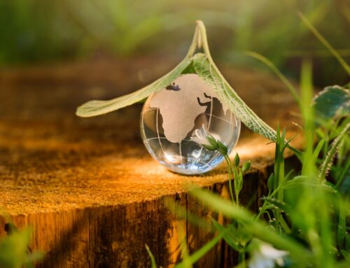 ✨ Purification des lieux : redonner vie et harmonie aux espaces