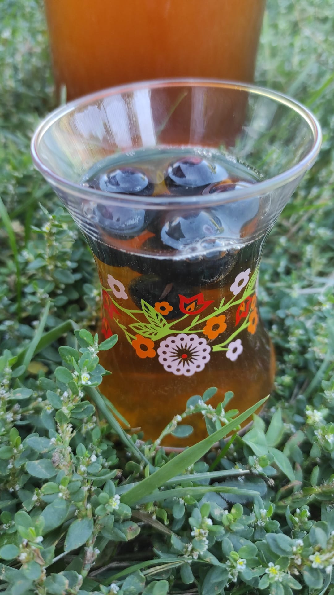 Le kombucha est un élixir de vie pour réaliser des boissons à volonté
