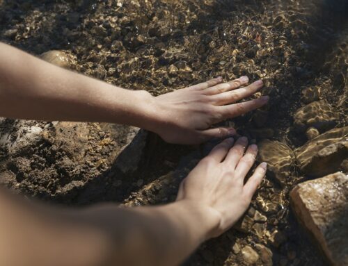 Le magnétisme dans les mains : pourquoi poser les mains sur la terre libère et recharge l’énergie