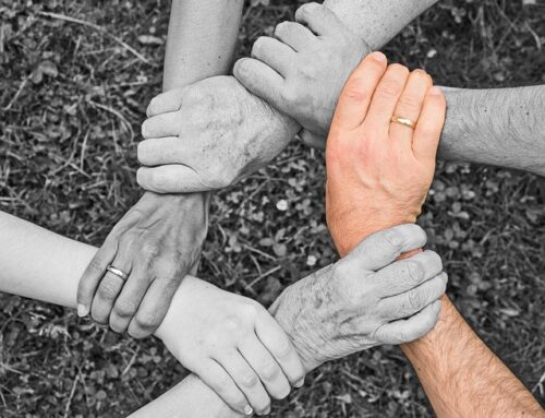 🌳 Psychogénéalogie et loyautés familiales : se libérer dans l’amour, jamais dans la rupture